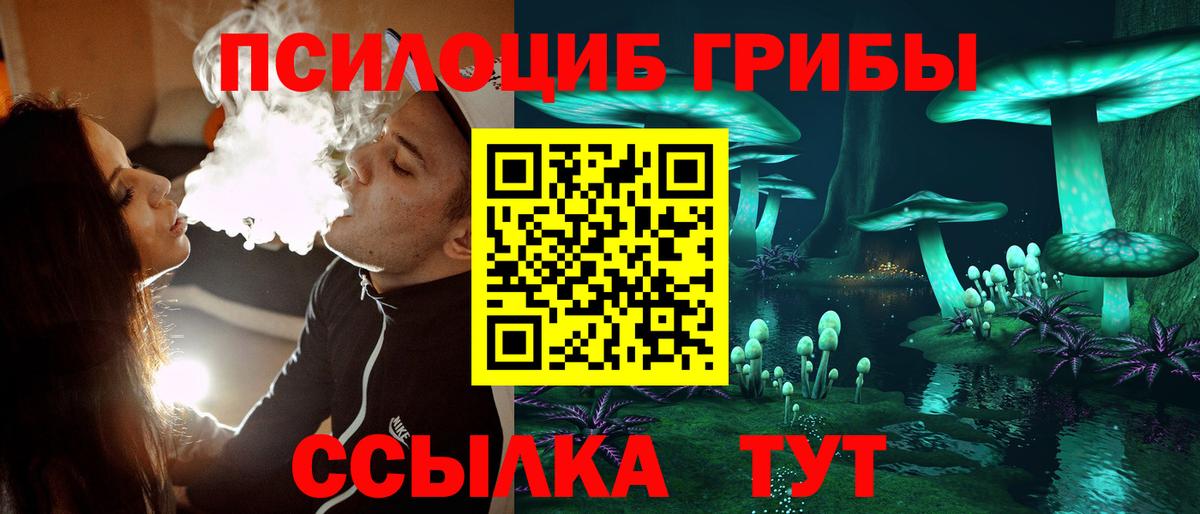 Чебоксары  купить наркотик  Вход с VPN  Псилоцибиновые грибы мицелий  Псилоцибиновые грибы Magic Shrooms 